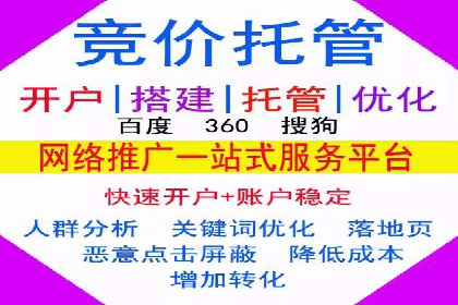 精准投放，高效转化——SEM竞价优化案例集